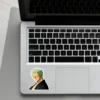 Roronoa Zoro Laptop phone stickers - Coolcage